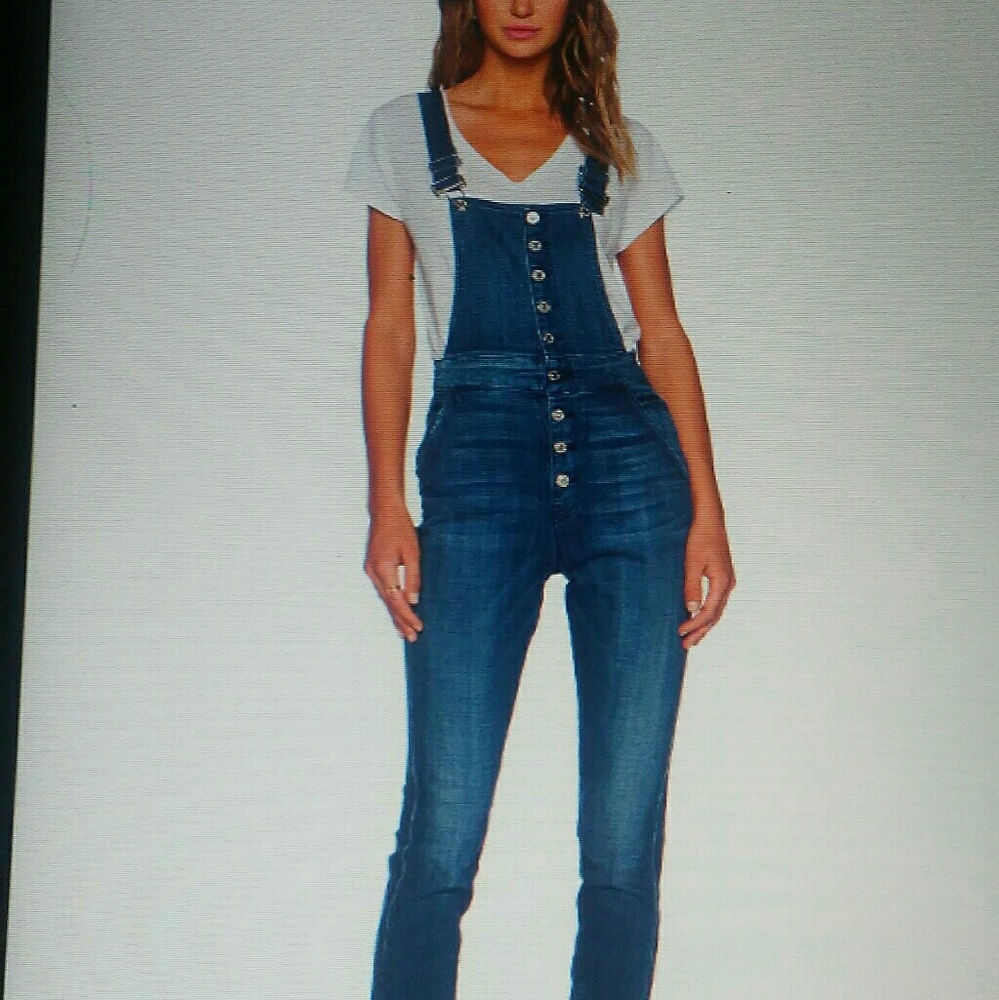 Anthropologie  denim button down overalls